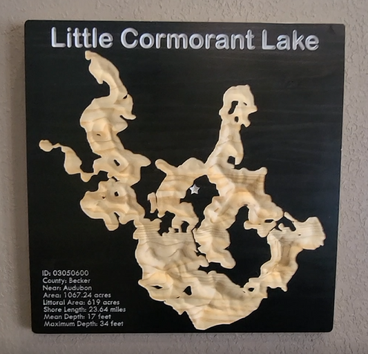 Little Cormorant Lake 3D Wood Map - Solid Pine 24"x24"